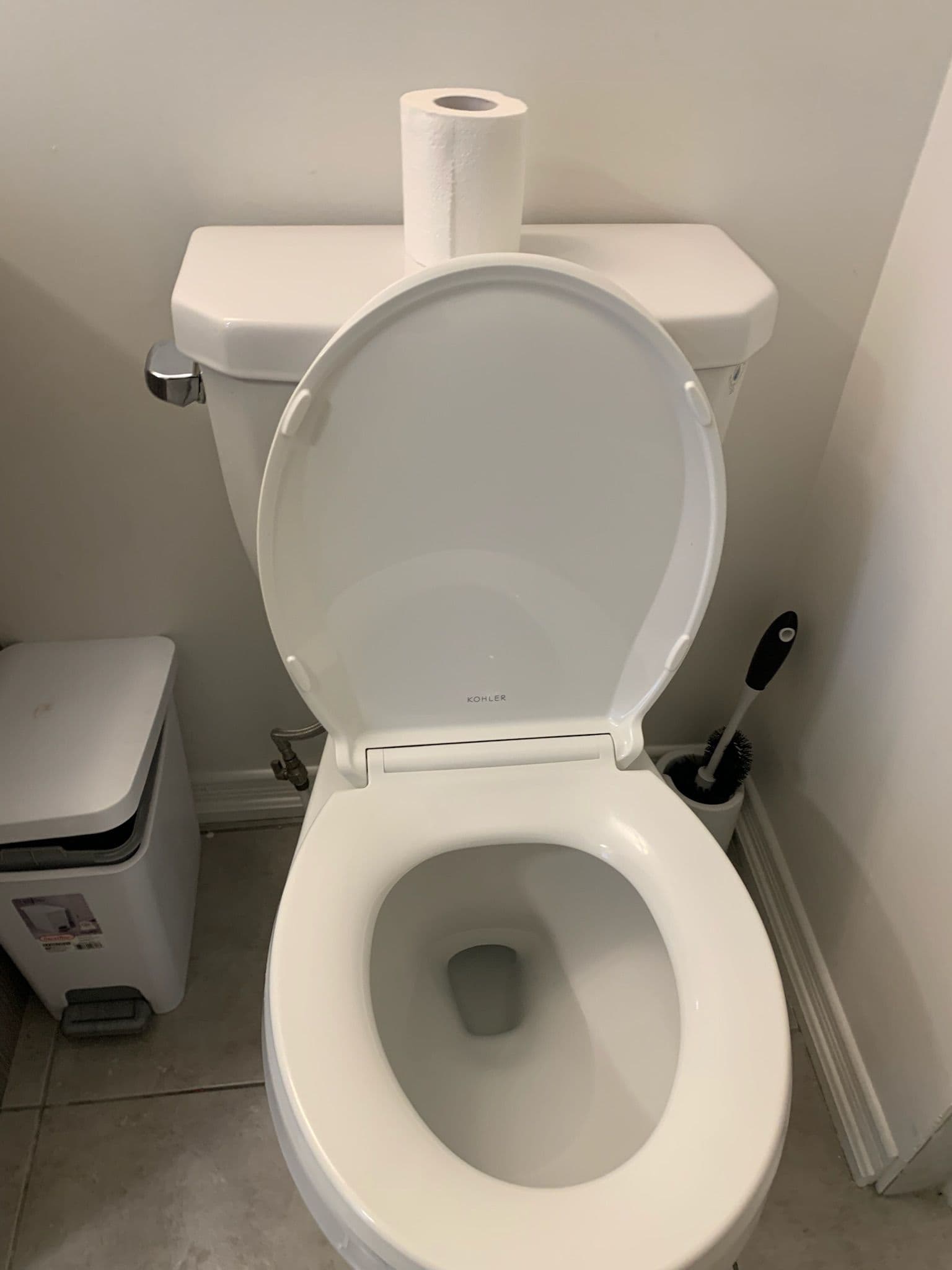 Toilet Sanitization